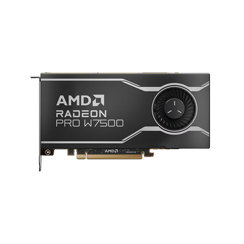 Scheda grafica Radeon AMD Radeon Pro 8GB GDDR6 | 100-300000078